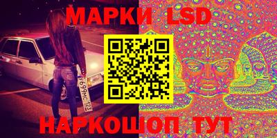 амф Донской