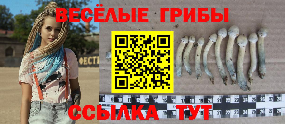 Галлюциногенные грибы Cubensis Надым