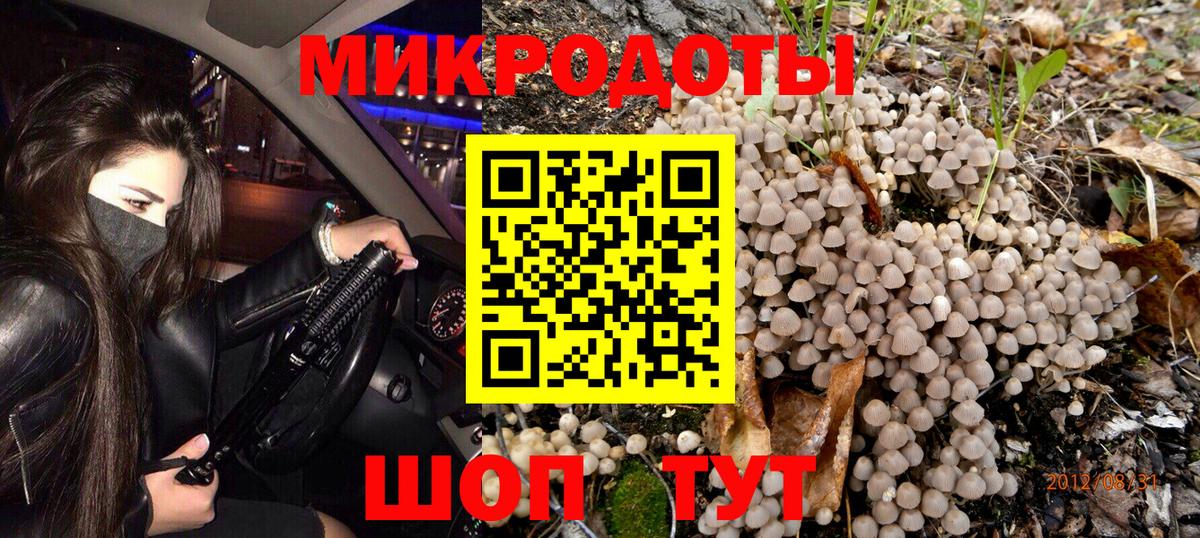 Надым  Псилоцибиновые грибы Psilocybine cubensis  Вход с VPN 